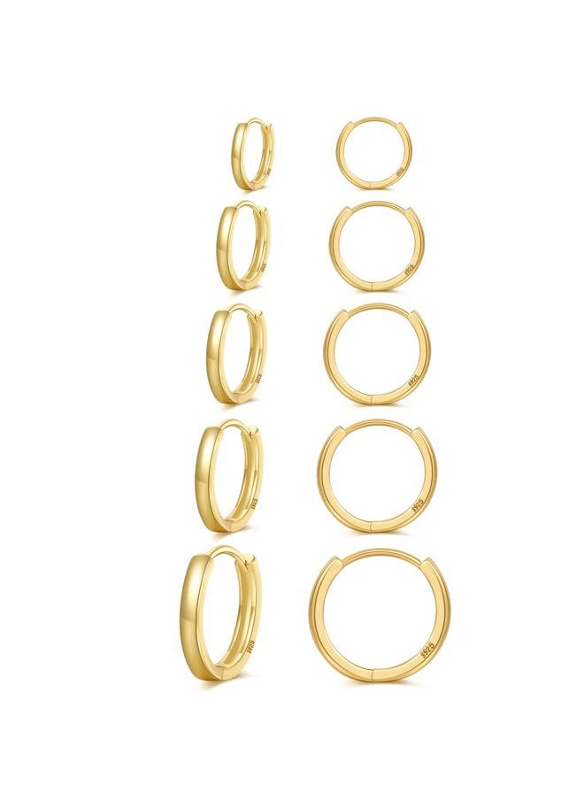 Senteria Small Gold Hoop Earrings 5 Pairs 14K Gold Plated Hoop Earrings for Women Hypoallergenic Gold Huggie Hoop Earrings Cartilage Sleeper Small Hoop Earrings for Women Men 8/10/12/14/16mm  - Image 1