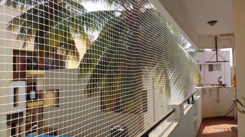 A-Zone Azone Anti Bird Net for Balcony, 5 x 5 Feet Nylon White - Image 5