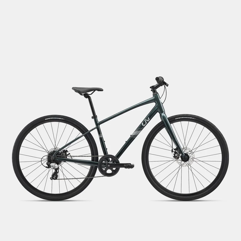 جاينت Alight 4 Disc Gravel Bike