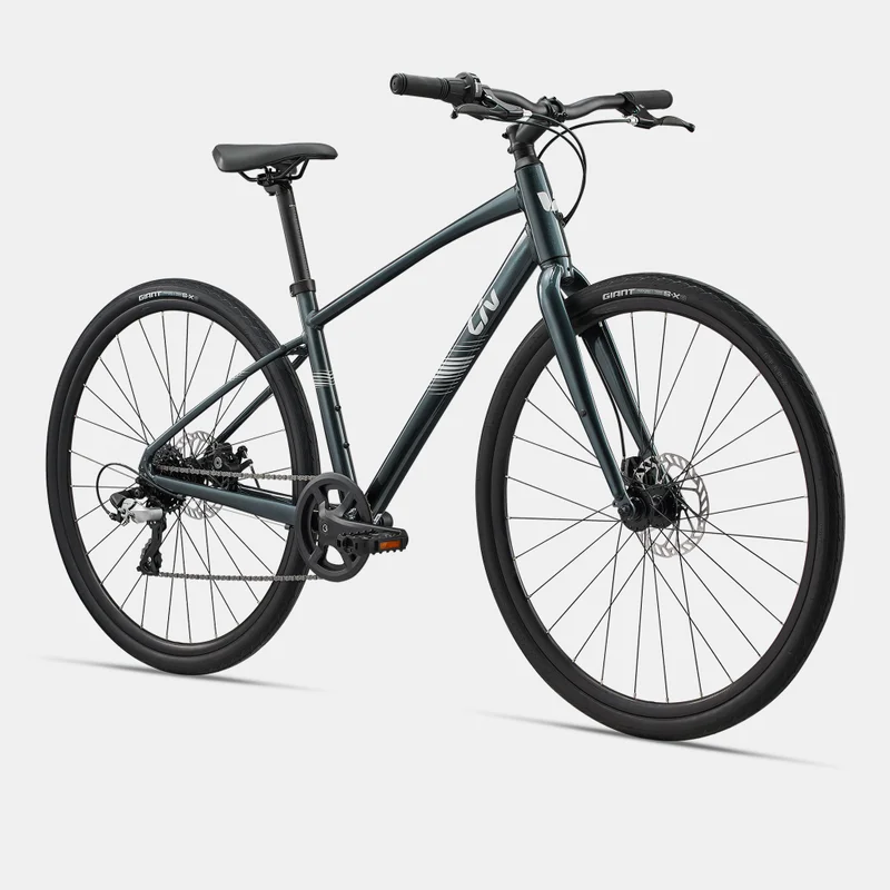جاينت Alight 4 Disc Gravel Bike