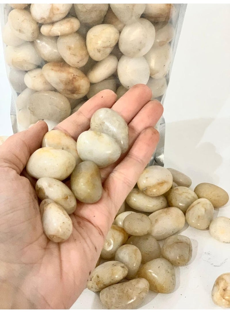 حجر الزينة الطبيعي – بيض الحمام - Image 1