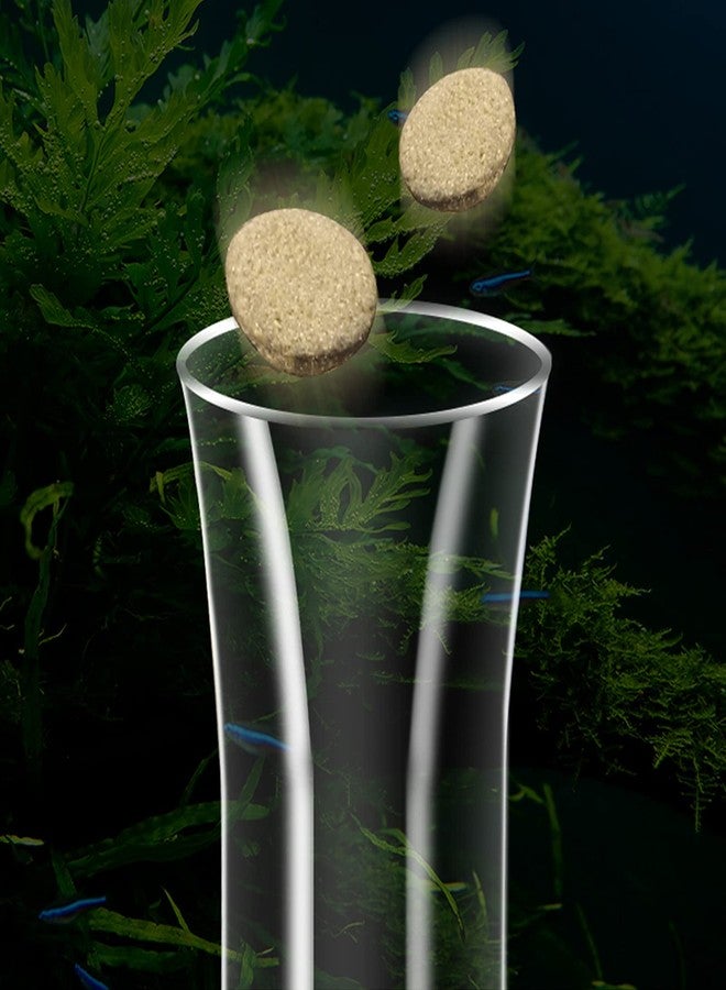 Bilindasly 200MM Aquarium Shrimp Feeding Tube and Dish Tube Glass Fish Feeder Tube with Glass Bowl and Suction Cups for Fish Tank Aquarium Shrimp Fish Dish - Image 3