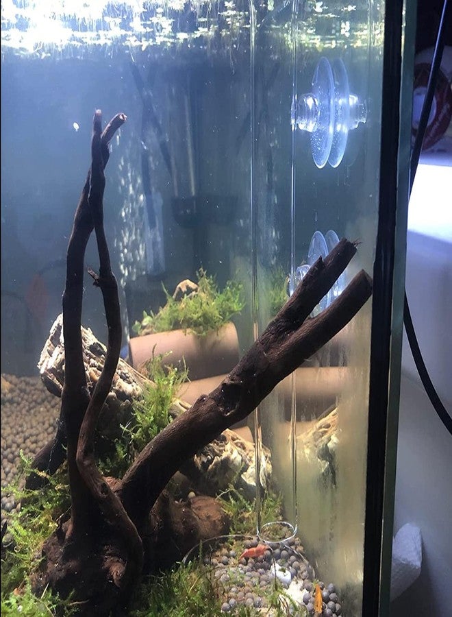 Bilindasly 200MM Aquarium Shrimp Feeding Tube and Dish Tube Glass Fish Feeder Tube with Glass Bowl and Suction Cups for Fish Tank Aquarium Shrimp Fish Dish - Image 5