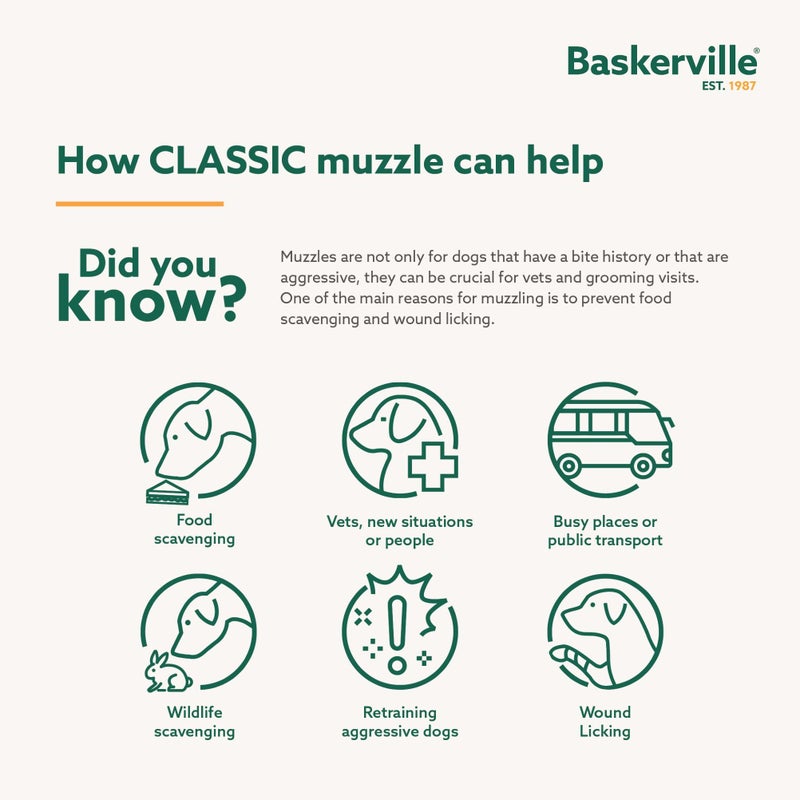 Baskerville Classic Basket Muzzle - Dog can Pant and Drink, Prevents Biting and Food Waste Scavenging, Strong TPR, Ideal for Longer Nosed Dogs, Breathable Dog Training Muzzle for Large Dogs (Size 10) - Image 3