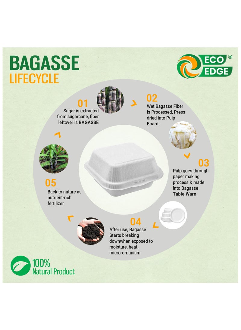 EcoEdge 6 Inch Square White Clamshell (Pack of 10) | Disposable Take Out Food Containers Made from Sugarcane Pulp | Microwave and Freezer Friendly | Natural, Non-Toxic and BPA Free | 100% Compostable