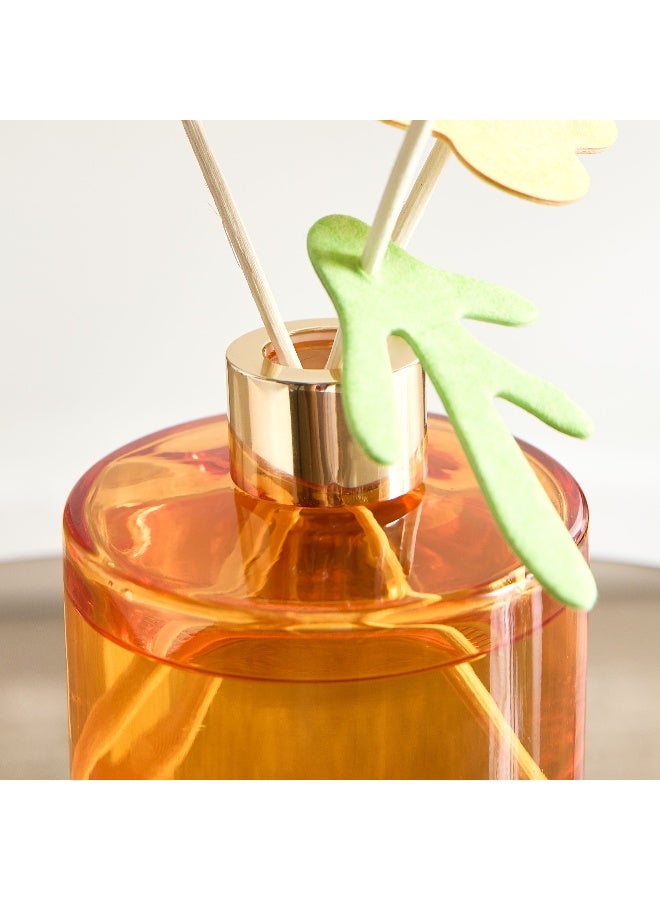 Home Box Abbey Urban Nature The Smell Joys of Autumn Reed Diffuser 180 ml - Image 3