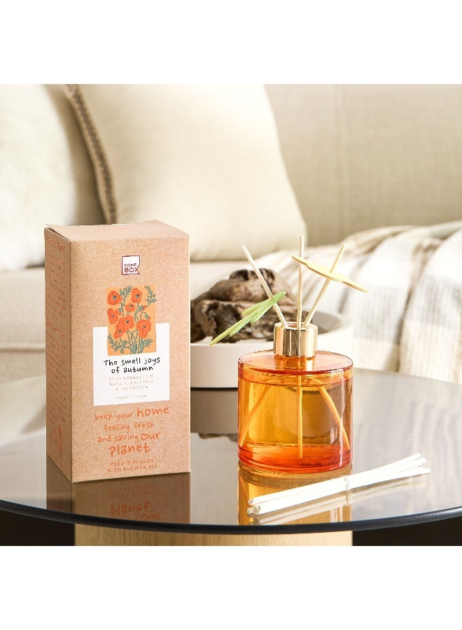 Home Box Abbey Urban Nature The Smell Joys of Autumn Reed Diffuser 180 ml - Image 1