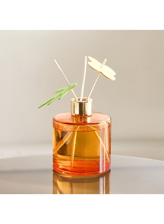 Home Box Abbey Urban Nature The Smell Joys of Autumn Reed Diffuser 180 ml - Image 2