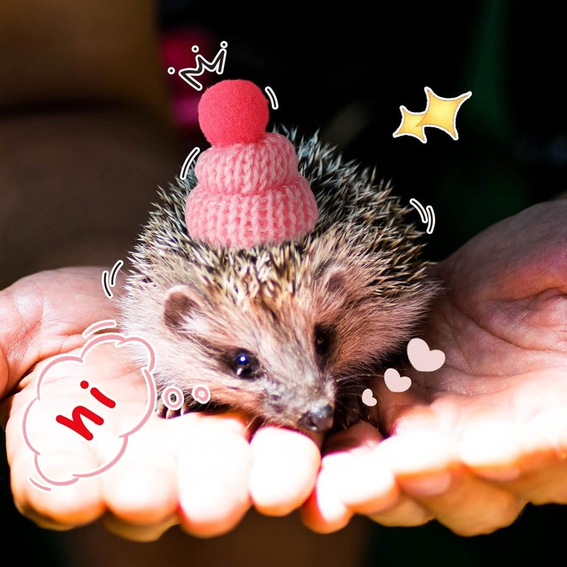 Kajaia 10 Pieces Pet Snake Hat Hamster Hat with Adjustable Elastic Strap Snake Ball Hamster Python Lizard Guinea Pig Knitted Hat with Pompon for Small Reptile Animal Decoration Accessories - Image 5