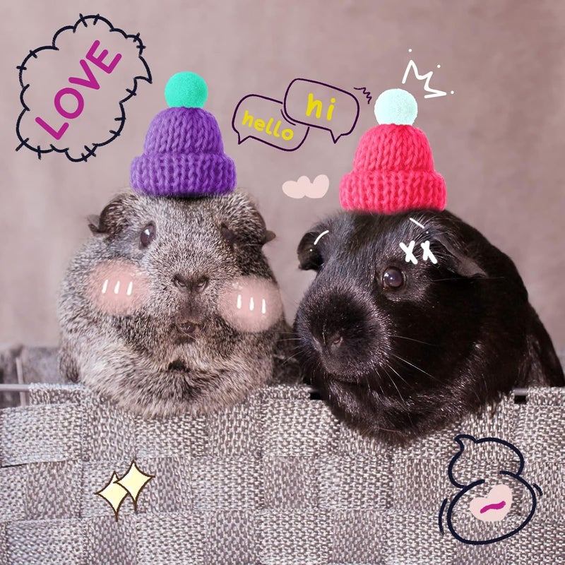 Kajaia 10 Pieces Pet Snake Hat Hamster Hat with Adjustable Elastic Strap Snake Ball Hamster Python Lizard Guinea Pig Knitted Hat with Pompon for Small Reptile Animal Decoration Accessories - Image 4