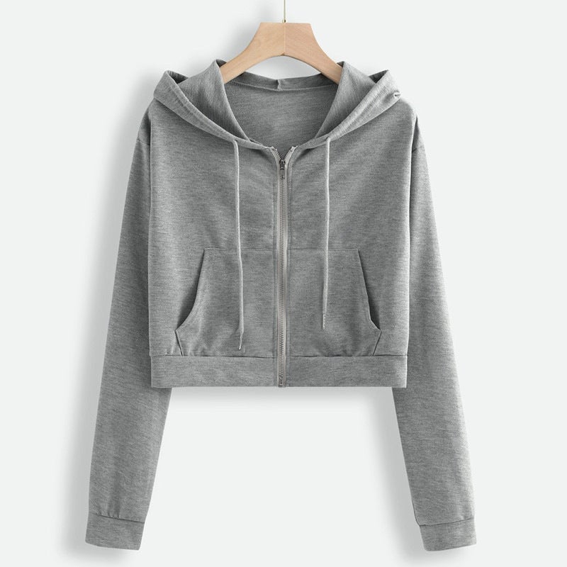 Zipper Sweatshirt Womens Design Niche Loose Korean Style Autumn and Winter 2024 New Long Sleeve Top Short Jacket Ins Grey