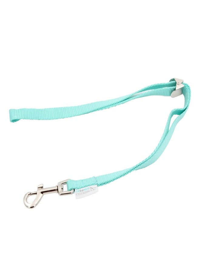 GROOMER ESSENTIALS 22" Grooming Loops in Turquoise - Secure and Stylish Restraints for Pet Grooming - Set of Essential Tools for Professional and Home Grooming - Image 1