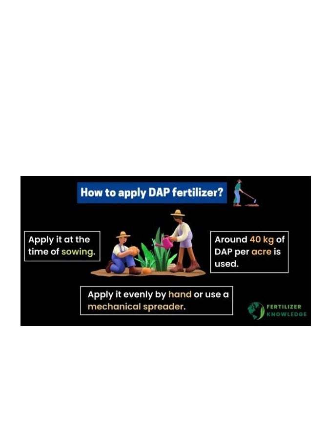DESERT ENERGY Di-ammonium Phosphate DAP Fertilizer 1kg Best To Use Indoor/Outdoor Plants - Image 3