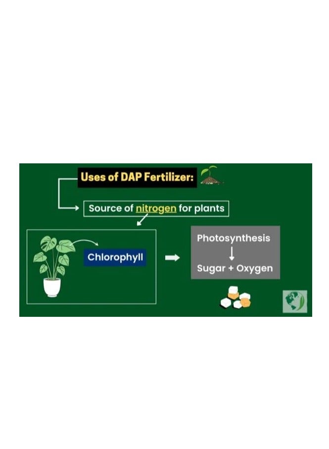 DESERT ENERGY Di-ammonium Phosphate DAP Fertilizer 1kg Best To Use Indoor/Outdoor Plants - Image 4