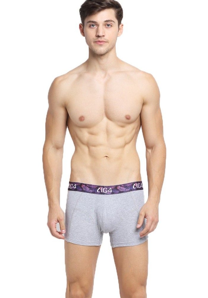 IC4 Store Grey Men's Trunk Underwear - Image 1
