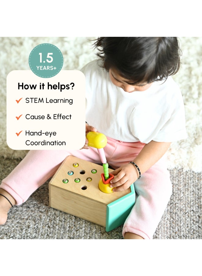 Curious Cub Magnetic Bird Feeder   With Worms And Mother Bird Feeder - Image 5