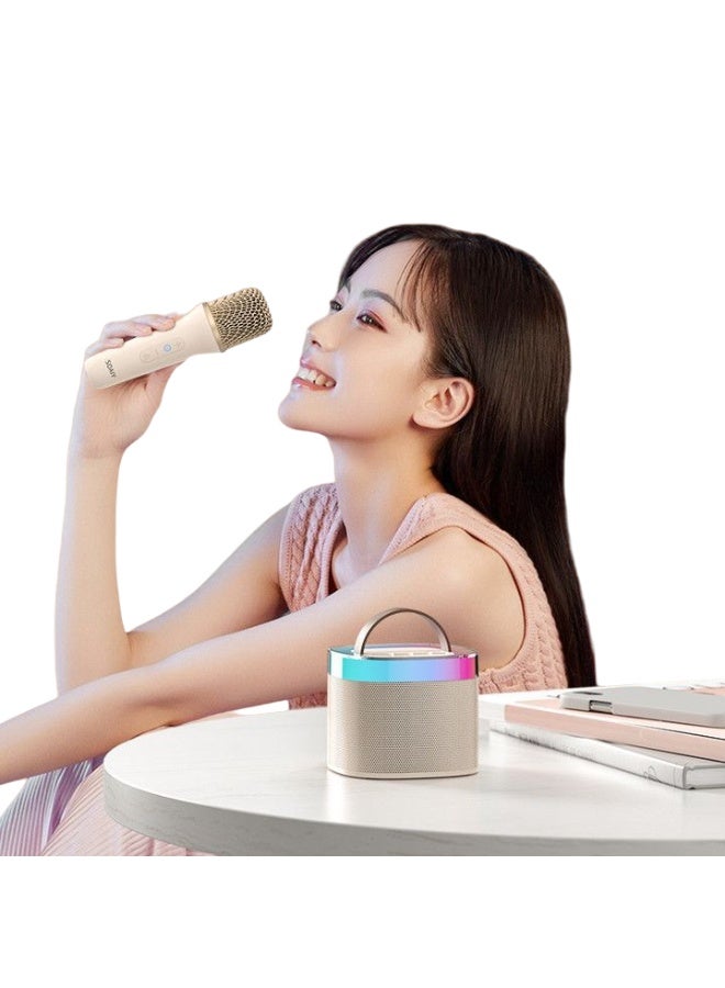 EBMINI Microphone Bluetooth Speaker With Microphone Singing Speaker All-In-One Machine