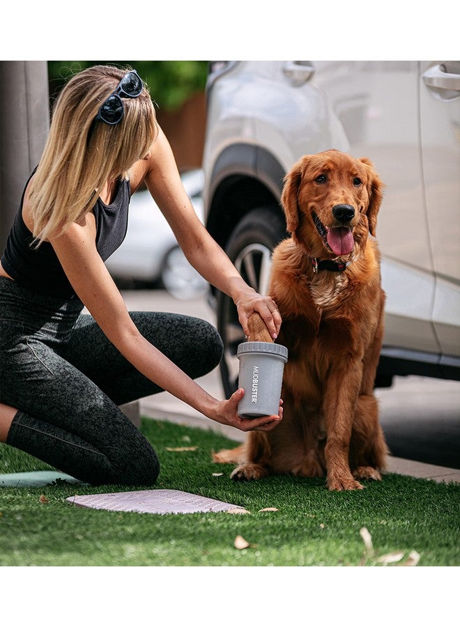 Dexas Medium MudBuster Portable Dog Paw Washer, Light Gray - Premium Quality Pet Supplies and Dog Accessories - Cleansing, Self Cleaning, Silicone - 6x6x6 Inches, 0.308 kg, 1 Count - Image 3