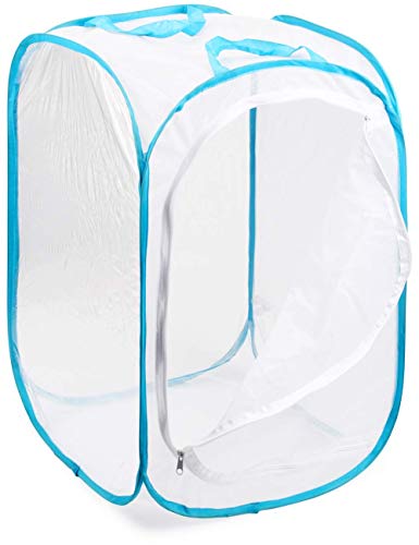 RESTCLOUD Insect and Butterfly Habitat Cage Terrarium Pop-up 24 Inches Tall - Image 5