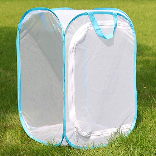 RESTCLOUD Insect and Butterfly Habitat Cage Terrarium Pop-up 24 Inches Tall - Image 4