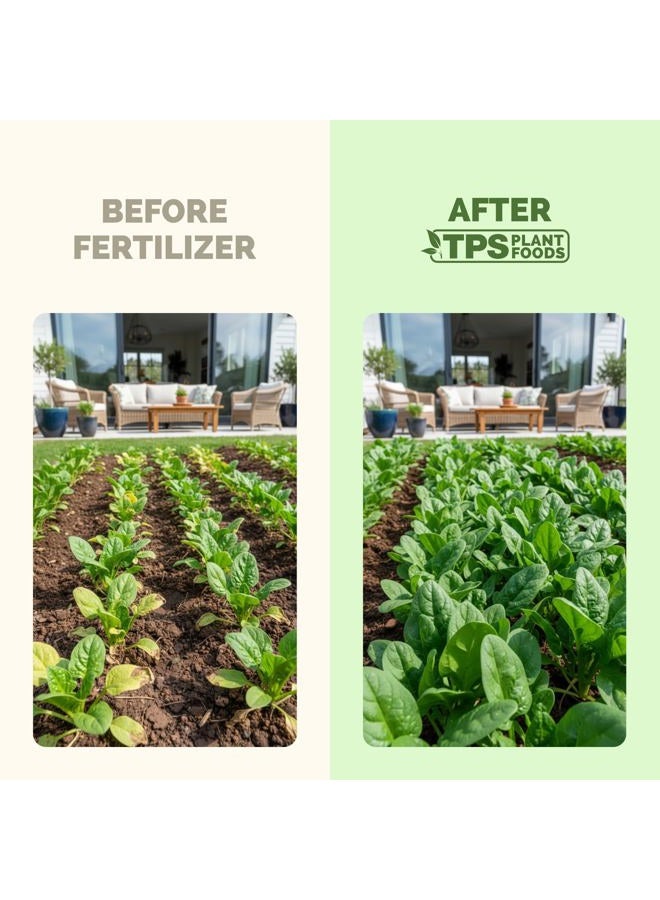 TPS NUTRIENTS سماد سائل 10-10-10 للخضروات، ثلاثي العشرة NPK مع الحديد والميكرو، غذاء نباتي سائل 8 أونصات (250 مل) - Image 3