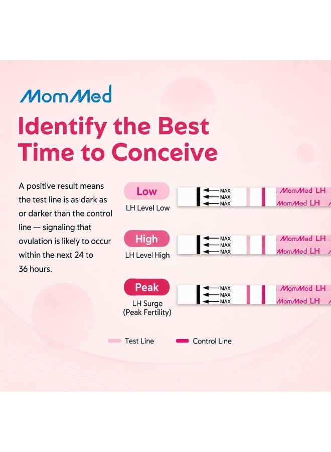 MOMMED Ovulation Test Strips, 50 LH Ovulation Predictor Kit with Free 50 Collection Cups, Accurately Track Ovulation Test, High Sensitivity Result for Women Home Testing - Image 3