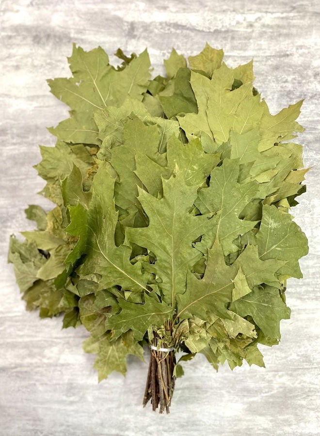 ECOVENIK Natural Canadian Oak, Season 2025 - Branches Dry for a Sauna Accessories for Banya 100% Handmade (Made in Europe) - Image 2
