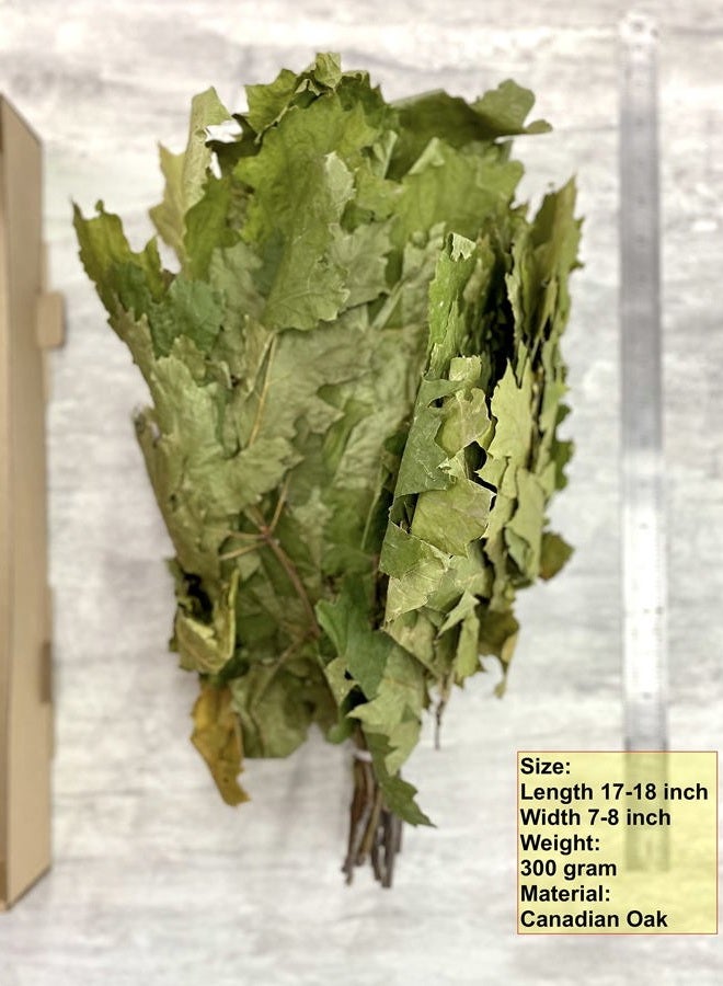 ECOVENIK Natural Canadian Oak, Season 2025 - Branches Dry for a Sauna Accessories for Banya 100% Handmade (Made in Europe) - Image 4