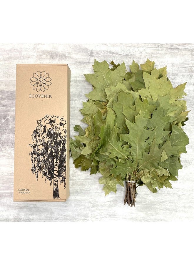 ECOVENIK Natural Canadian Oak, Season 2025 - Branches Dry for a Sauna Accessories for Banya 100% Handmade (Made in Europe) - Image 1