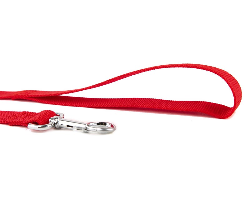 Taida Nylon Dog Training Leash, Traction Rope, 4Ft /5 Foot /6 Feet Long, 5/8 inch 3/4 Inch 1 Inch Wide, for Small and Medium Dogs - Image 3