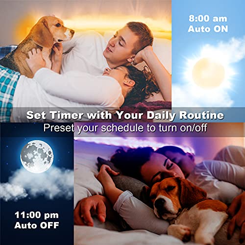 DAYBETTER Led Lights for Bedroom 100 ft, Led Strip Lights, Led Light Strips with Remote and App Control, Music Sync RGB Color Changing Led Lights for Room Decoration - Image 5