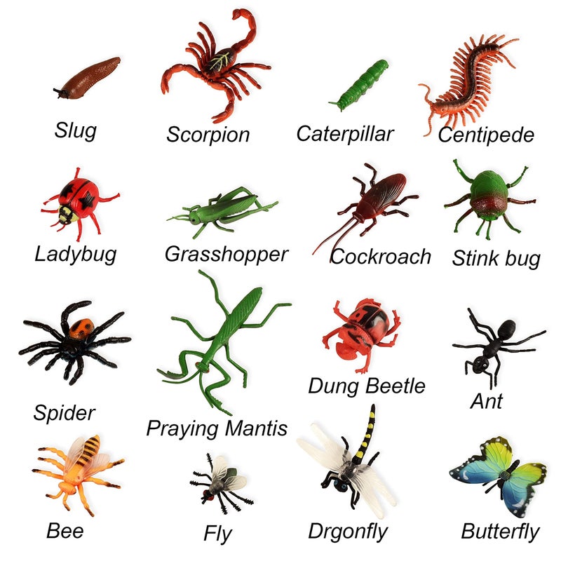 BOHS 12pcs Bugs Insects Realistic Models Kids - Children Biology Science STEM Toys Gift - Bees,Bats. Centipede Flies. Cockroaches. Spider.Dung Beetles. Ladybug. etc. - Image 2