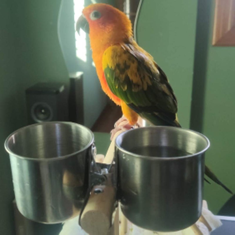 TBWHL Parrot Feeding Cups Hanging Pet Animal Stainless Steel Birdcage Bowls Bird Bowls for Cage Parakeet Bird Cage Accessories Suitable Small and Medium Bird S - Image 5