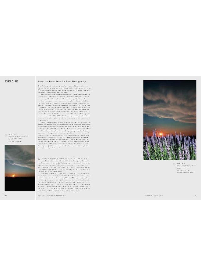 Bryan Peterson Photography: A Master Class in Creating Outstanding Images  - Image 4
