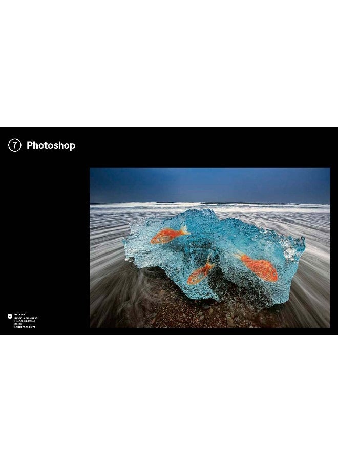 null - Bryan Peterson Photography: A Master Class in Creating Outstanding Images - Image 1