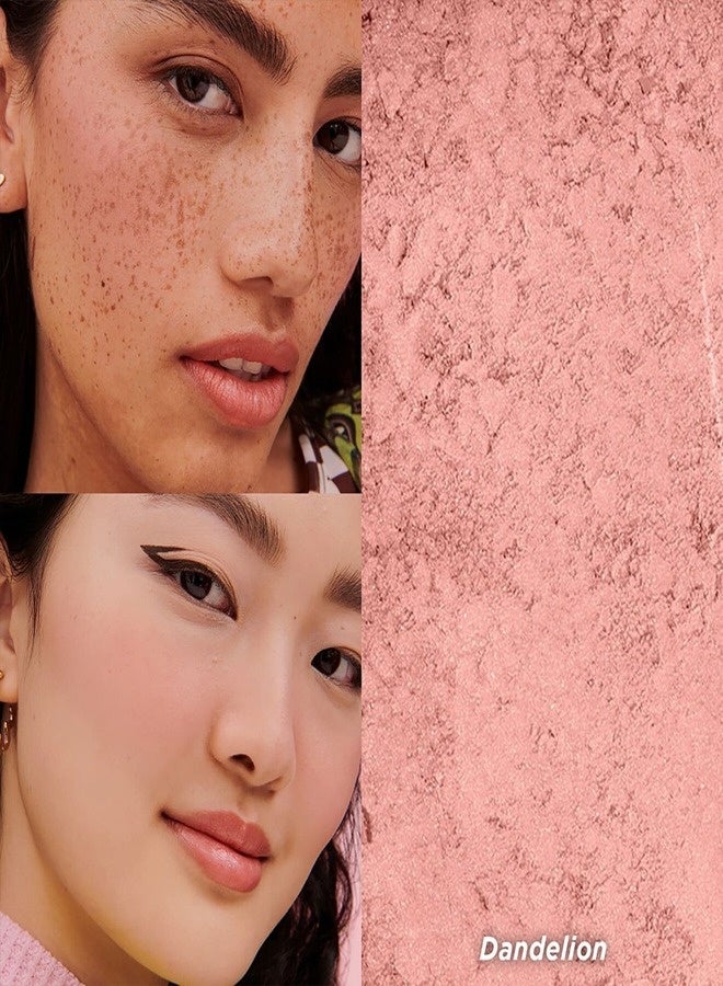 بينيفت أحمر خدود بنفت كوزمتكس دانديليون بيبي بينك المضيء - لون وردي فاتح ناعم، لمسة نهائية ساتانية طبيعية، لون قابل للتكثيف، أحمر خدود بودرة خفيف الوزن يدوم طويلاً، 2.5 غرام - Image 2