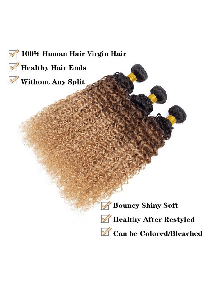 ROYAL IMPRESSION 12A Ombre Bundles Human Hair (T1B/30/27,18" 20" 22") Ombre Curly 3 Bundles Human Hair 100% Unprocessed Virgin Brazilian Ombre Kinky Curly Human Hair Weave Bundles  - Image 2