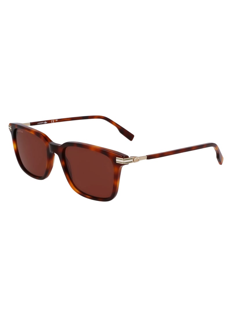 LACOSTE FULL RIM METAL ACETATE LACOSTE SUNS L6035S 5318 (214) HAVANA - Image 1