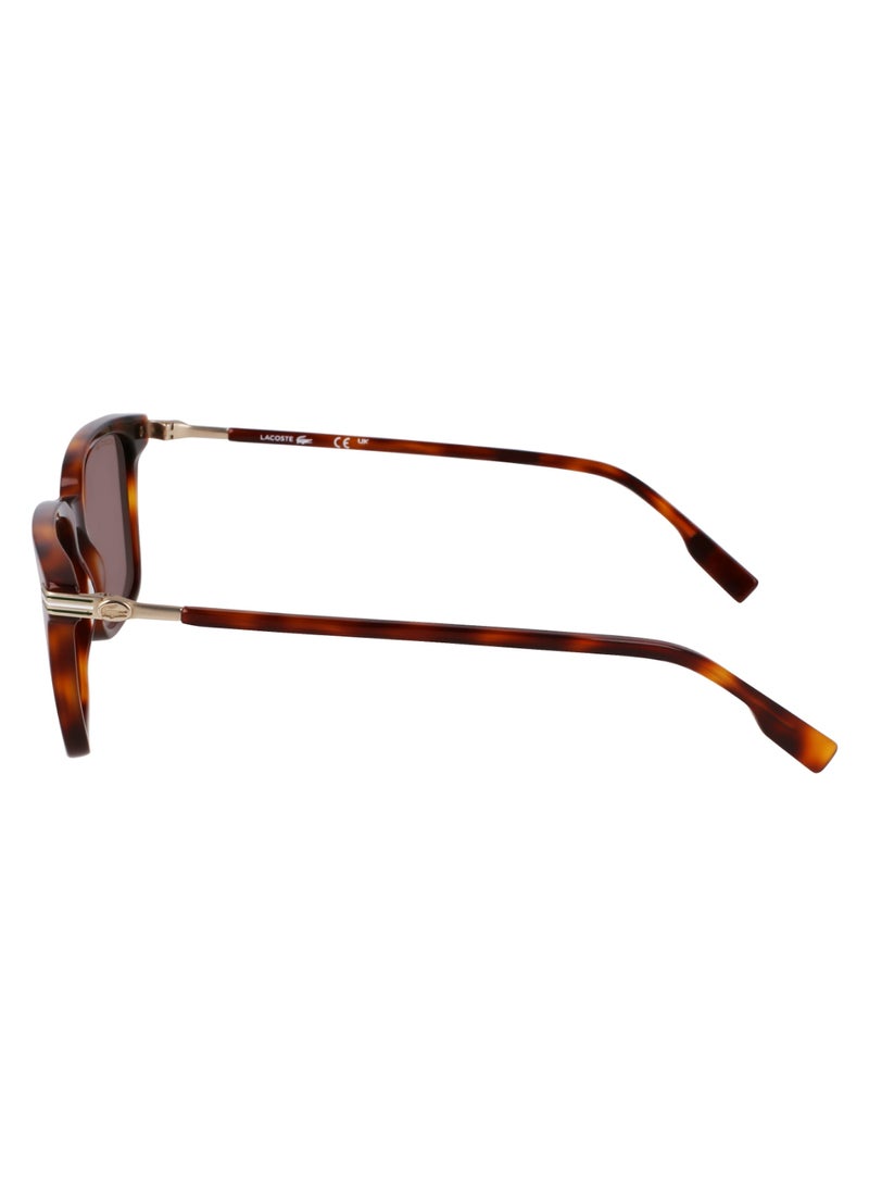 LACOSTE FULL RIM METAL ACETATE LACOSTE SUNS L6035S 5318 (214) HAVANA - Image 4