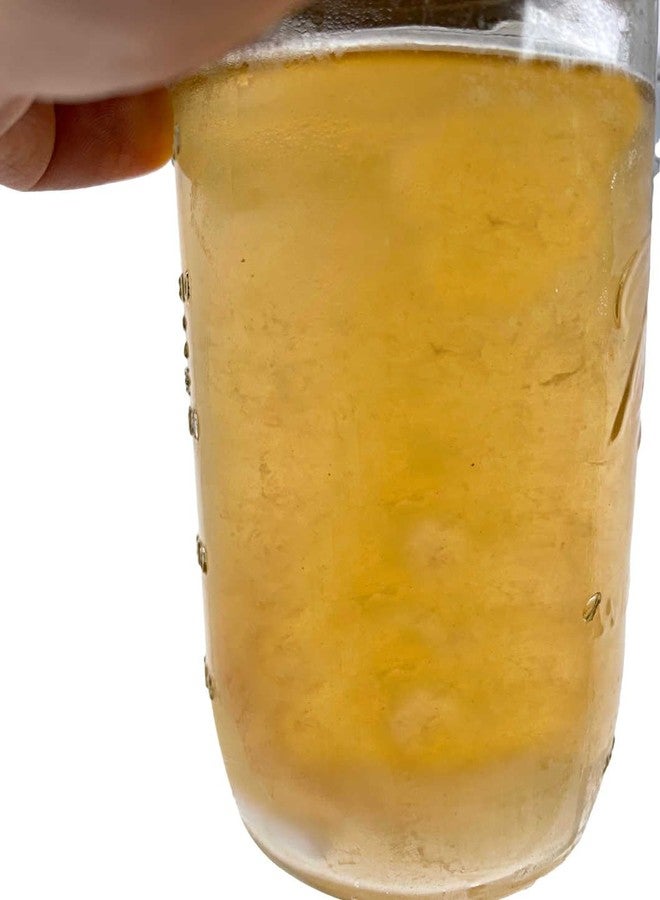 Myco Labs Premium Liquid Culture Kit Easy Spore Germinating & Mushroom Cloning System - Image 2