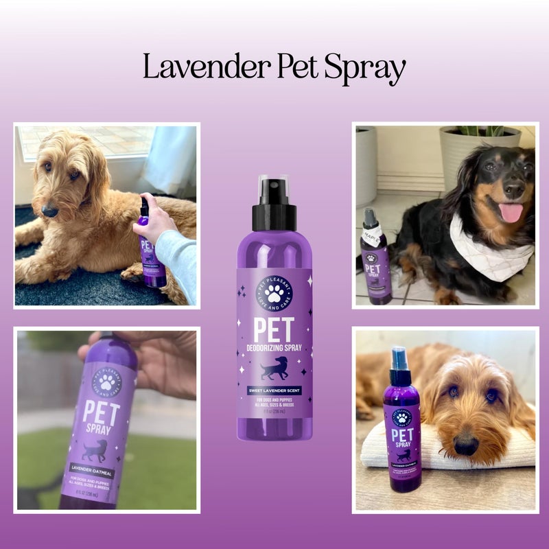 Honeydew Lavender Oil Dog Deodorizing Spray - Dog Spray for Smelly Dogs and Puppies and Dog Calming Spray with Lavender Essential Oil - Lightly Scented Dog Deodorizer for Smelly Dogs and Dog Essentials - Image 4