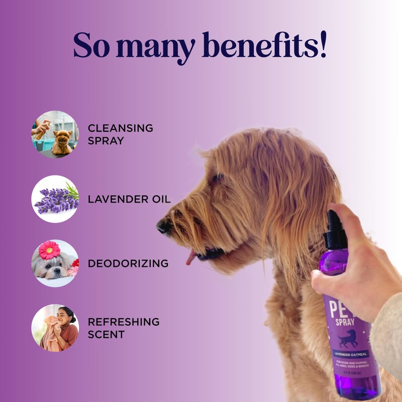Honeydew Lavender Oil Dog Deodorizing Spray - Dog Spray for Smelly Dogs and Puppies and Dog Calming Spray with Lavender Essential Oil - Lightly Scented Dog Deodorizer for Smelly Dogs and Dog Essentials - Image 2