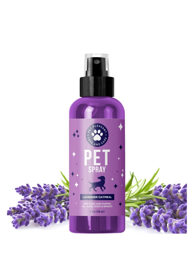 Honeydew - Lavender oil dog deodorizing spray dog spray for smelly dogs and puppies and dog calming spray with lavender essential oil - lightly scented dog deodorizer for smelly dogs and dog essentials - Image 1