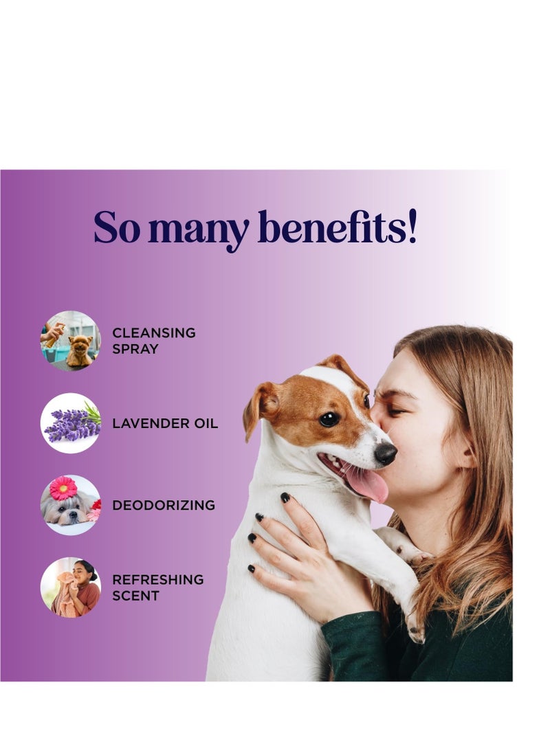 Honeydew - Lavender oil dog deodorizing spray dog spray for smelly dogs and puppies and dog calming spray with lavender essential oil - lightly scented dog deodorizer for smelly dogs and dog essentials - Image 1