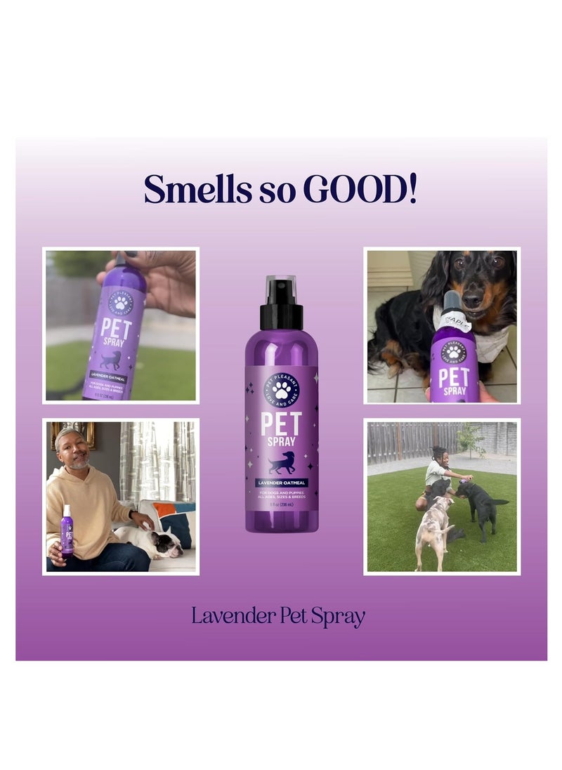 Honeydew - Lavender oil dog deodorizing spray dog spray for smelly dogs and puppies and dog calming spray with lavender essential oil - lightly scented dog deodorizer for smelly dogs and dog essentials - Image 1