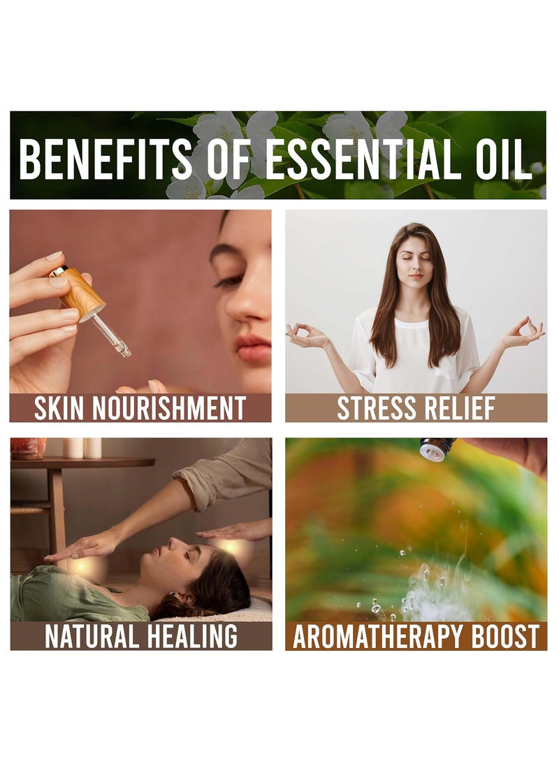 Allin Exporters Allin Exporters Cedarwood Oil 100 Pure Natural Undiluted 1000 ML  - Image 5