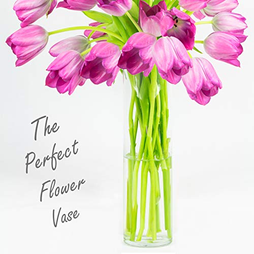 CYS Excel Clear Glass Cylinder Vase (H:20" D:4") | Multiple Size Choices Glass Flower Vase Centerpieces | Hurricane Floating Candle Holder Vase - Image 3