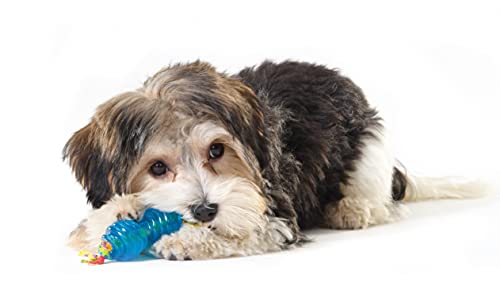 Petstages Mini Orka Chew Pair Bone & Dumbbell Dog Toys - 2 Pack - Image 4
