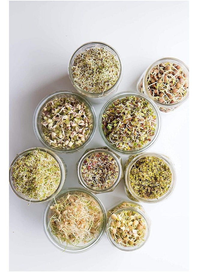 Rylan Rylan Sprout Maker with 4 Compartments for Multi Purpose Use - Plastic Grocery Container Sprouted Grains Seeds Dal Channa Chole Ragi Organic Sprouting Jar (500ml,4-Layer)  - Image 5