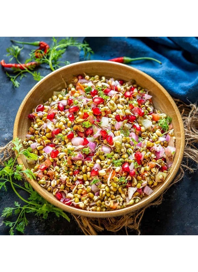 Rylan Rylan Sprout Maker with 4 Compartments for Multi Purpose Use - Plastic Grocery Container Sprouted Grains Seeds Dal Channa Chole Ragi Organic Sprouting Jar (500ml,4-Layer)  - Image 3